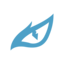 Team's logo