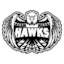 Team's logo