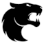 Team's logo