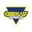 Team's logo