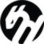 Team's logo