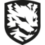 Team's logo