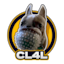 Team's logo