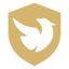 Team's logo