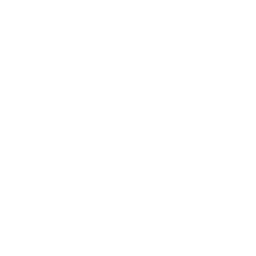 Salt Lake City Major